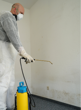 Mould protection